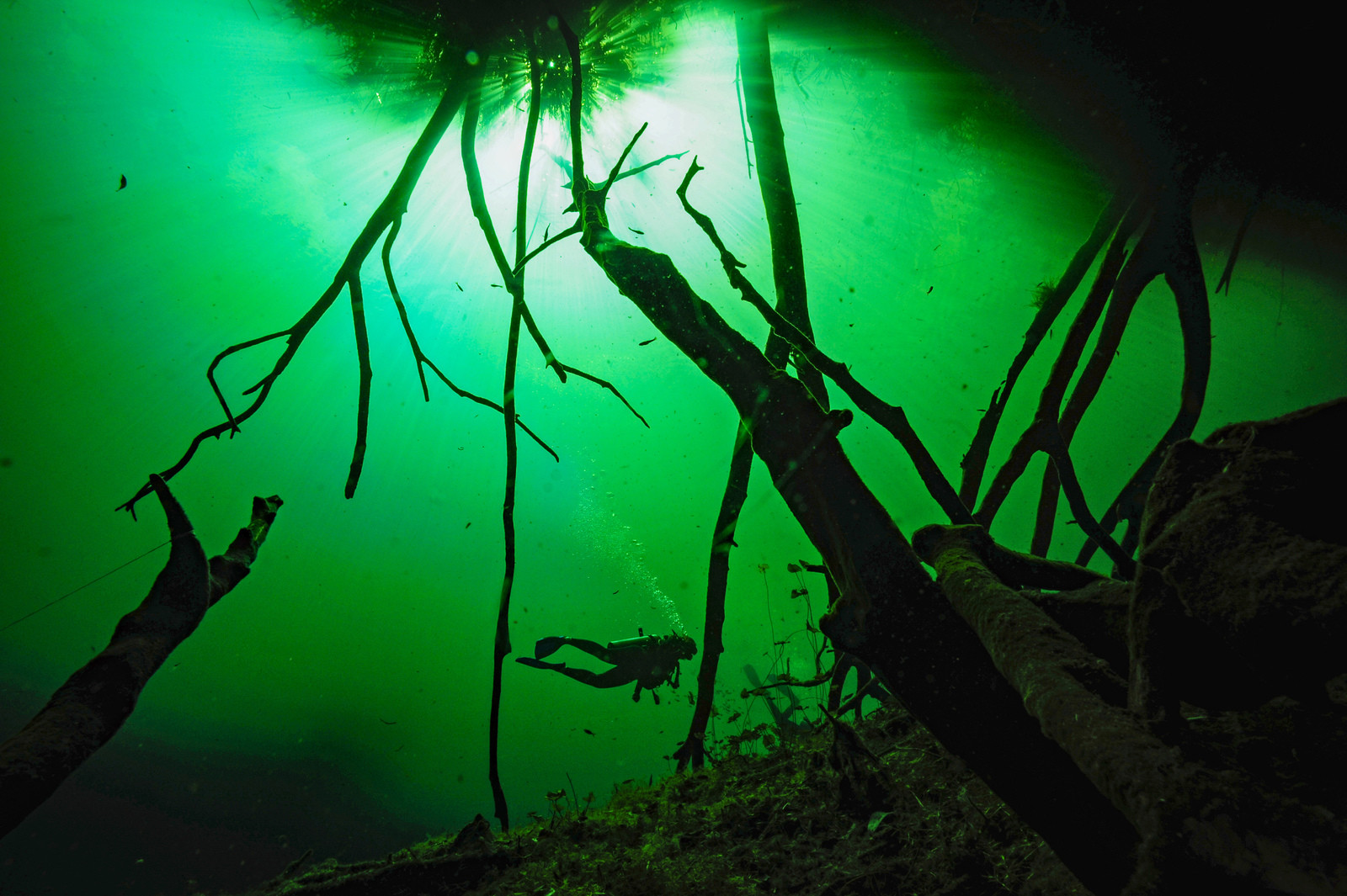 Plongee en apnée - Yucatan - Mexique