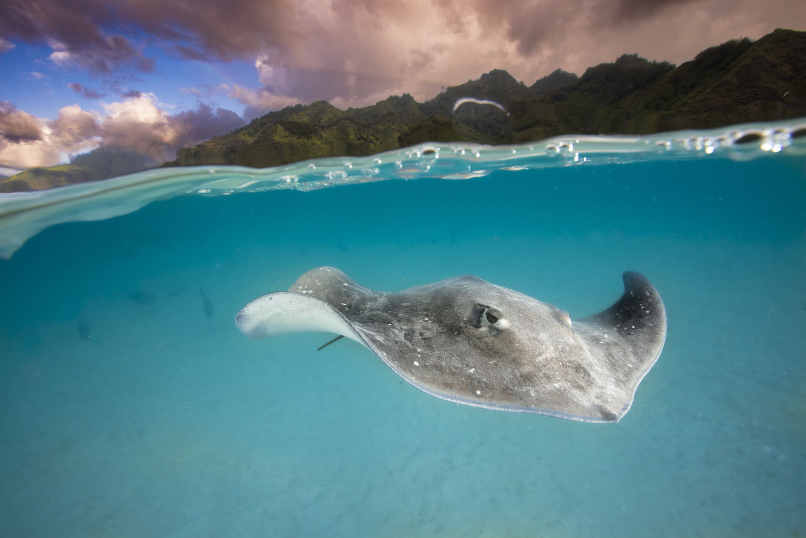 © Guillaume Ruoppolo-8270.jpg