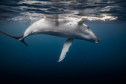 © Guillaume Ruoppolo-7778.jpg