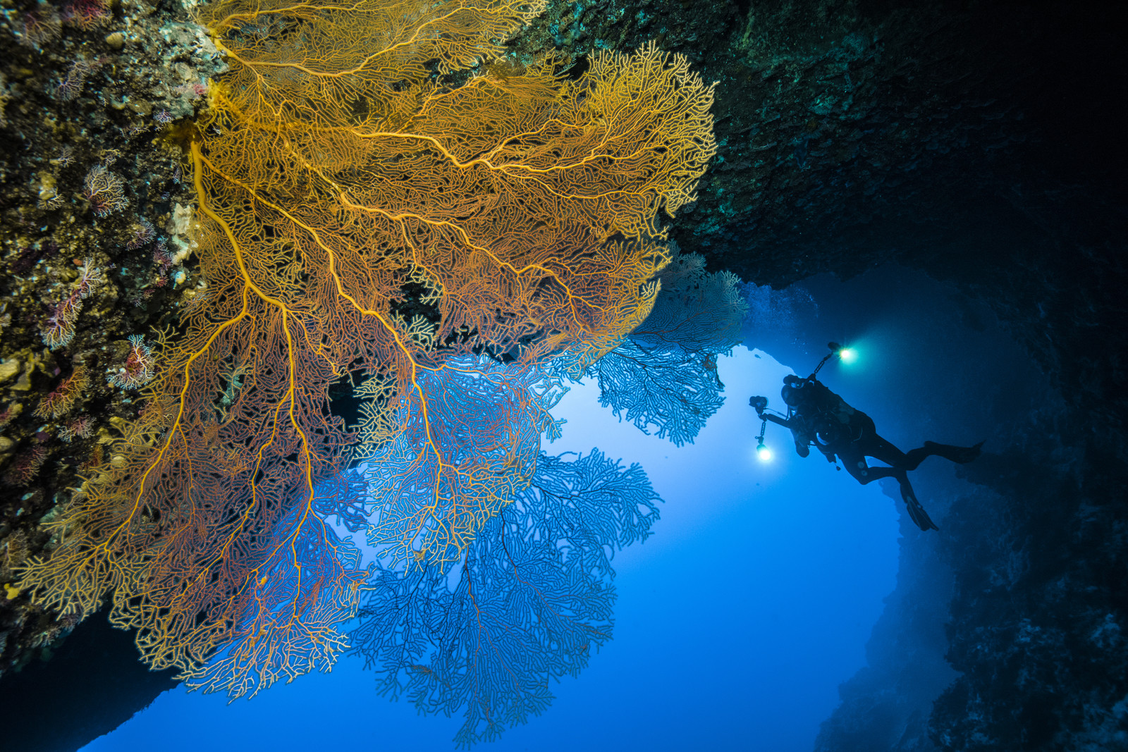 Saipan, Mariannes du Nord, Pacifique central, Pacifique