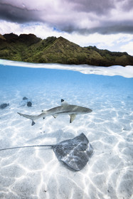 © Guillaume Ruoppolo-8515.jpg