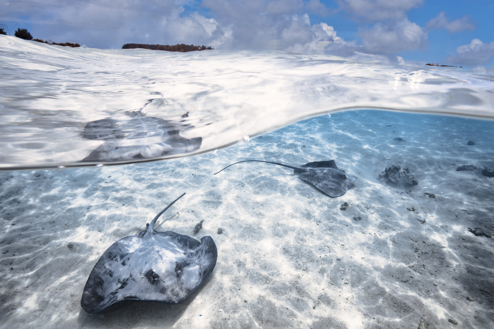 © Guillaume Ruoppolo-.jpg