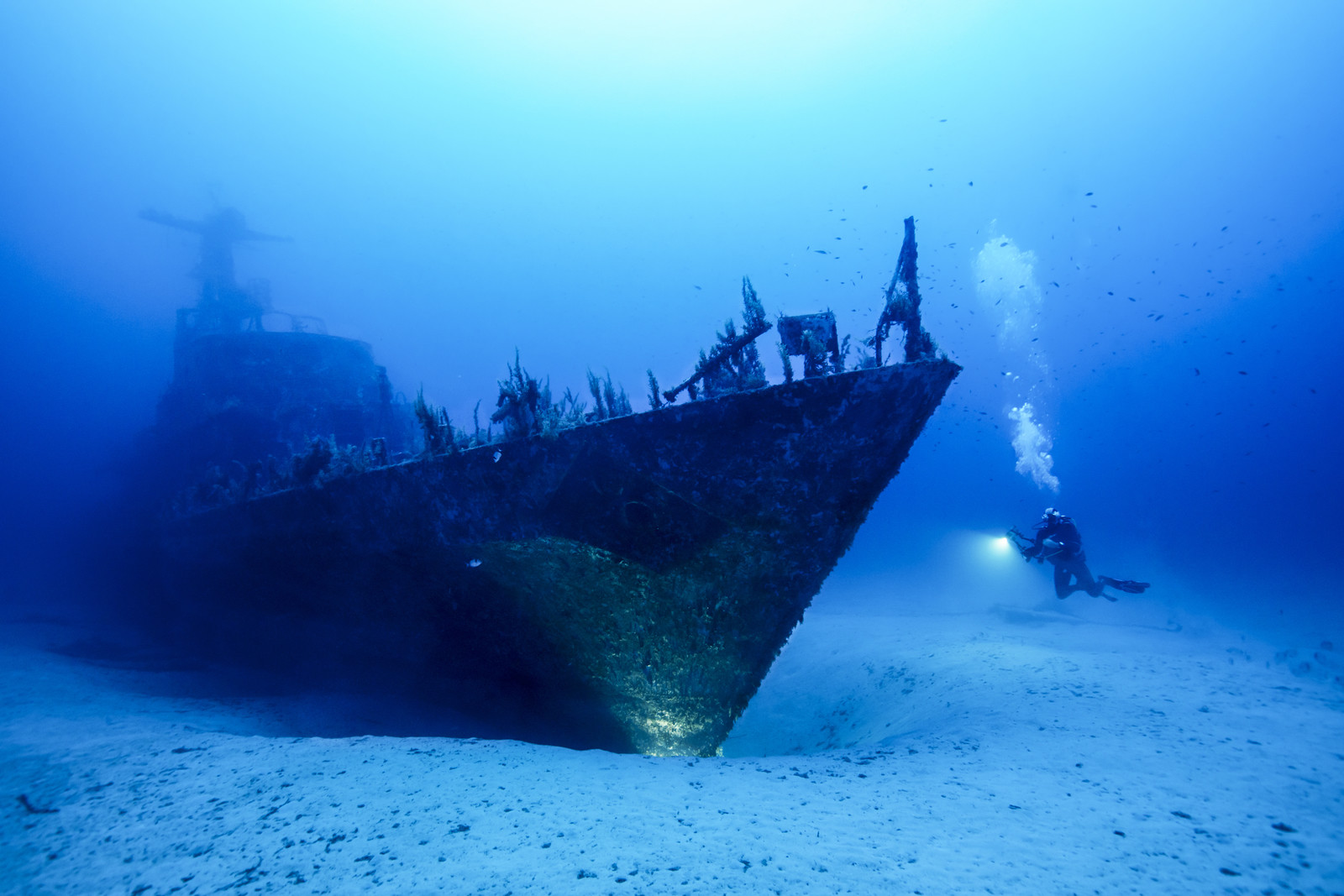 L'epave du navire P29 - Malte