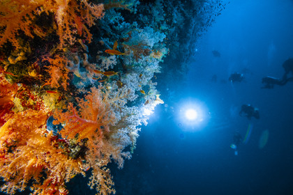 Croisiere à bord de l’Alia