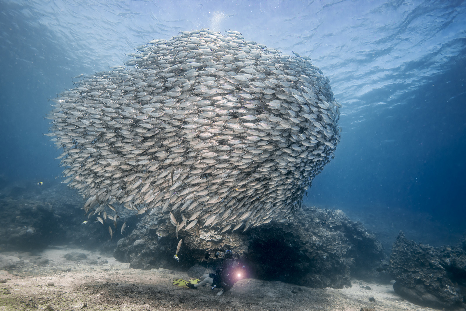 Saipan, Mariannes du Nord, Pacifique central, Pacifique